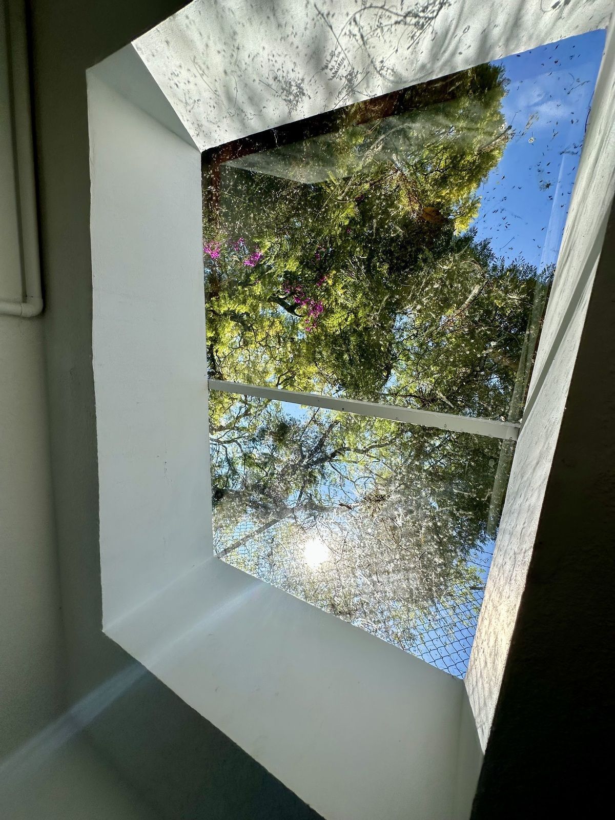 Casa en Guadalupe Inn, Álvaro Obregón, foto 45 de 48