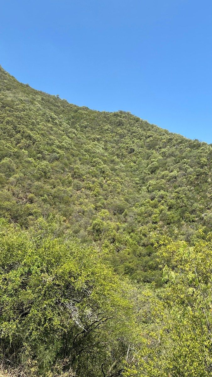 Terreno en Lomas de Montecristo, Monterrey, foto 7 de 7
