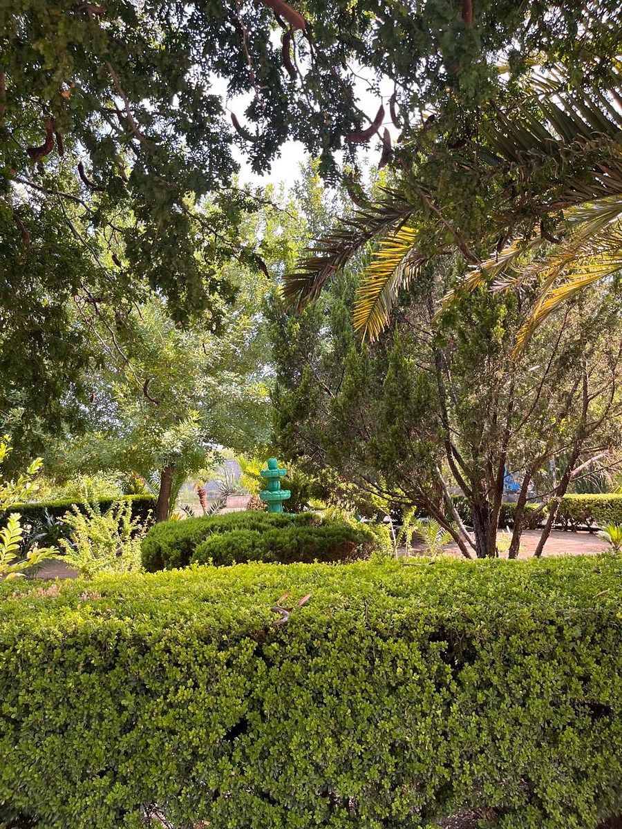 Country House in Palmitos (Hacienda Palmitos), Cadereyta Jiménez, photo 5 of 18