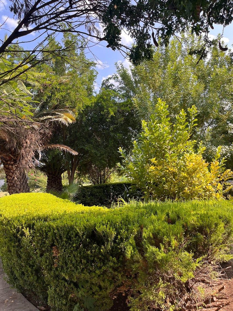 Country House in Palmitos (Hacienda Palmitos), Cadereyta Jiménez, photo 6 of 18