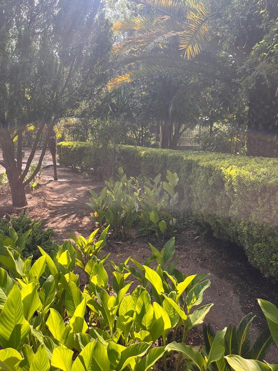 Country House in Palmitos (Hacienda Palmitos), Cadereyta Jiménez, photo 18 of 18