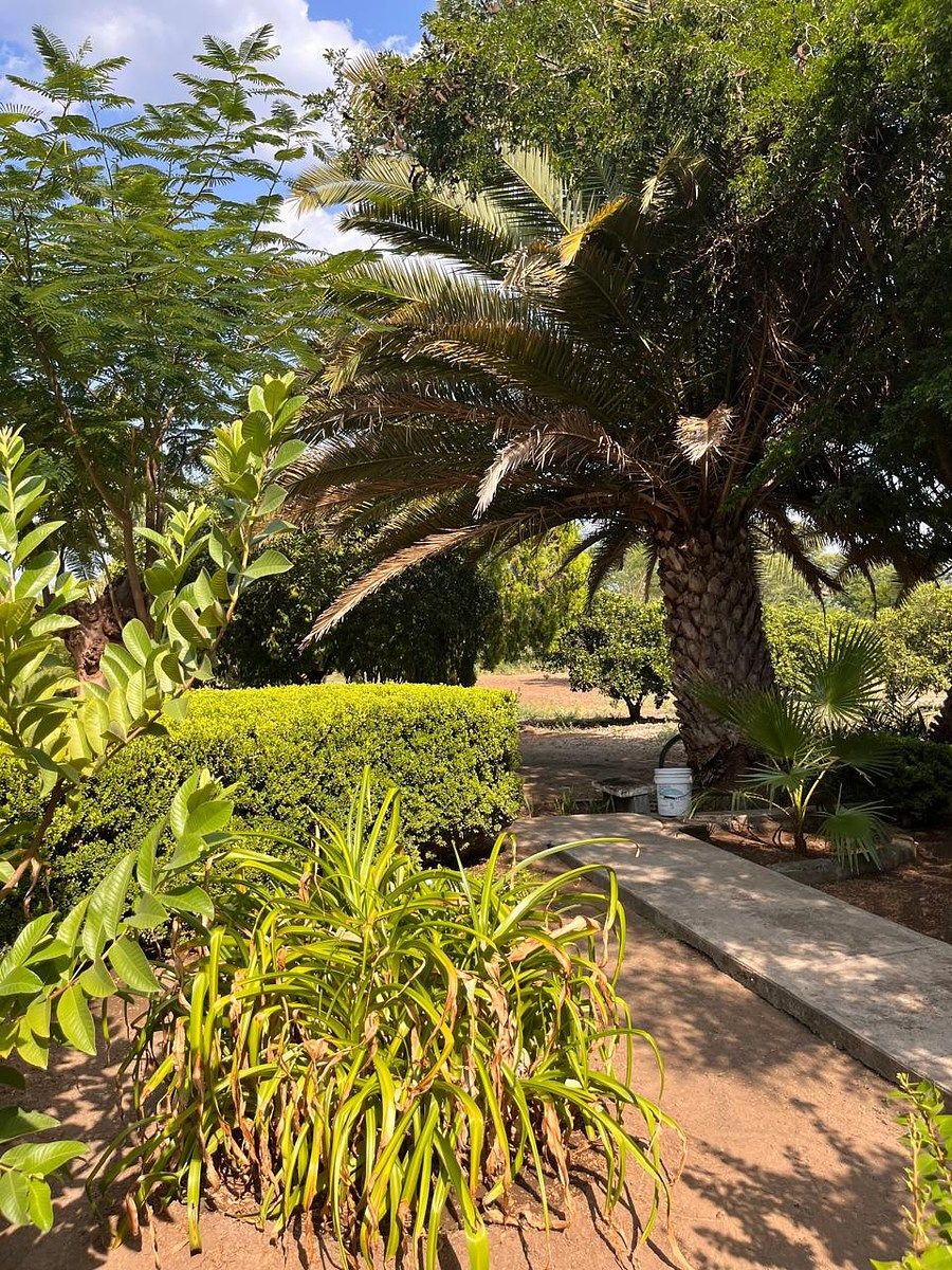 Country House in Palmitos (Hacienda Palmitos), Cadereyta Jiménez, photo 7 of 18