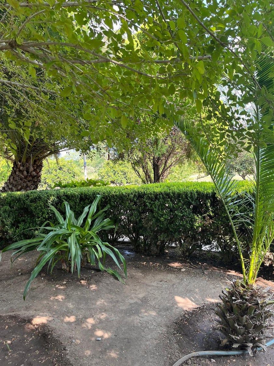 Country House in Palmitos (Hacienda Palmitos), Cadereyta Jiménez, photo 8 of 18