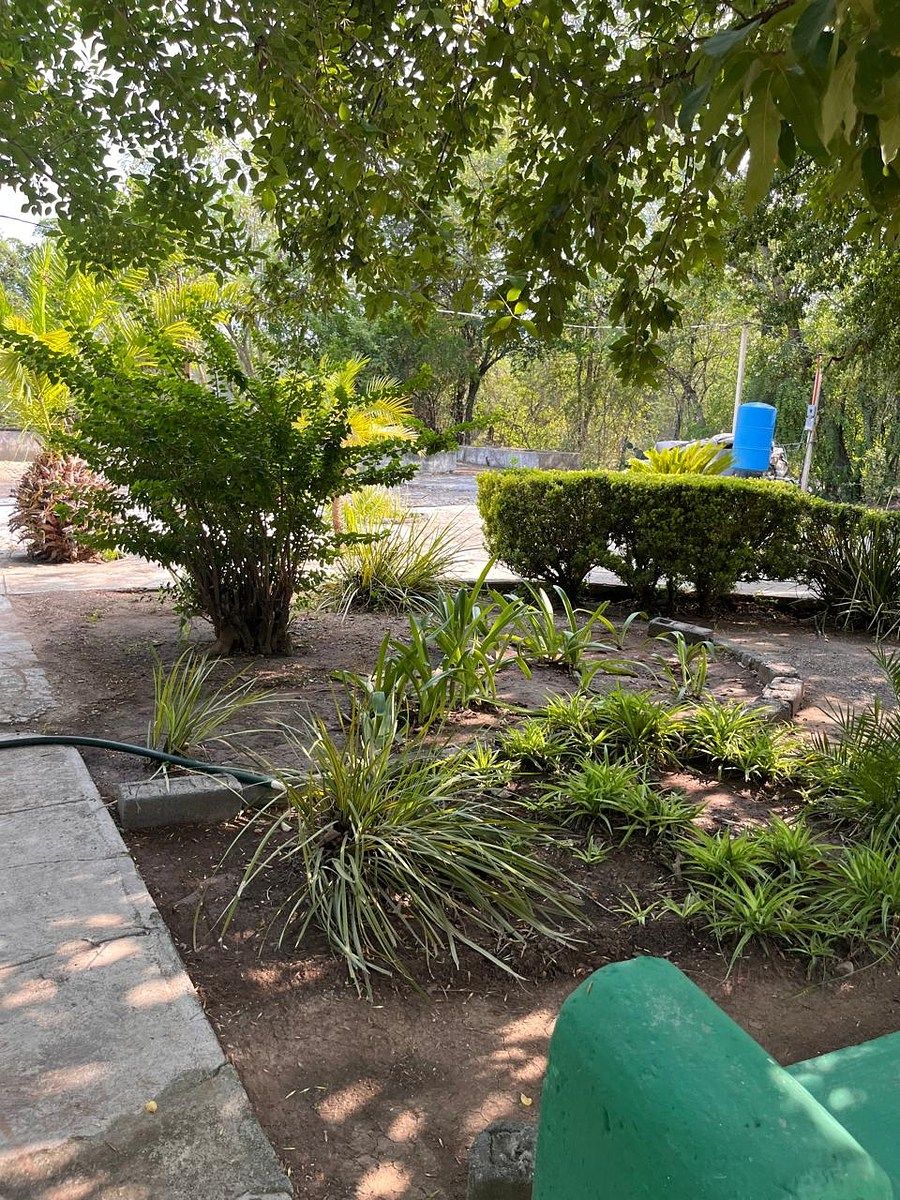 Country House in Palmitos (Hacienda Palmitos), Cadereyta Jiménez, photo 9 of 18