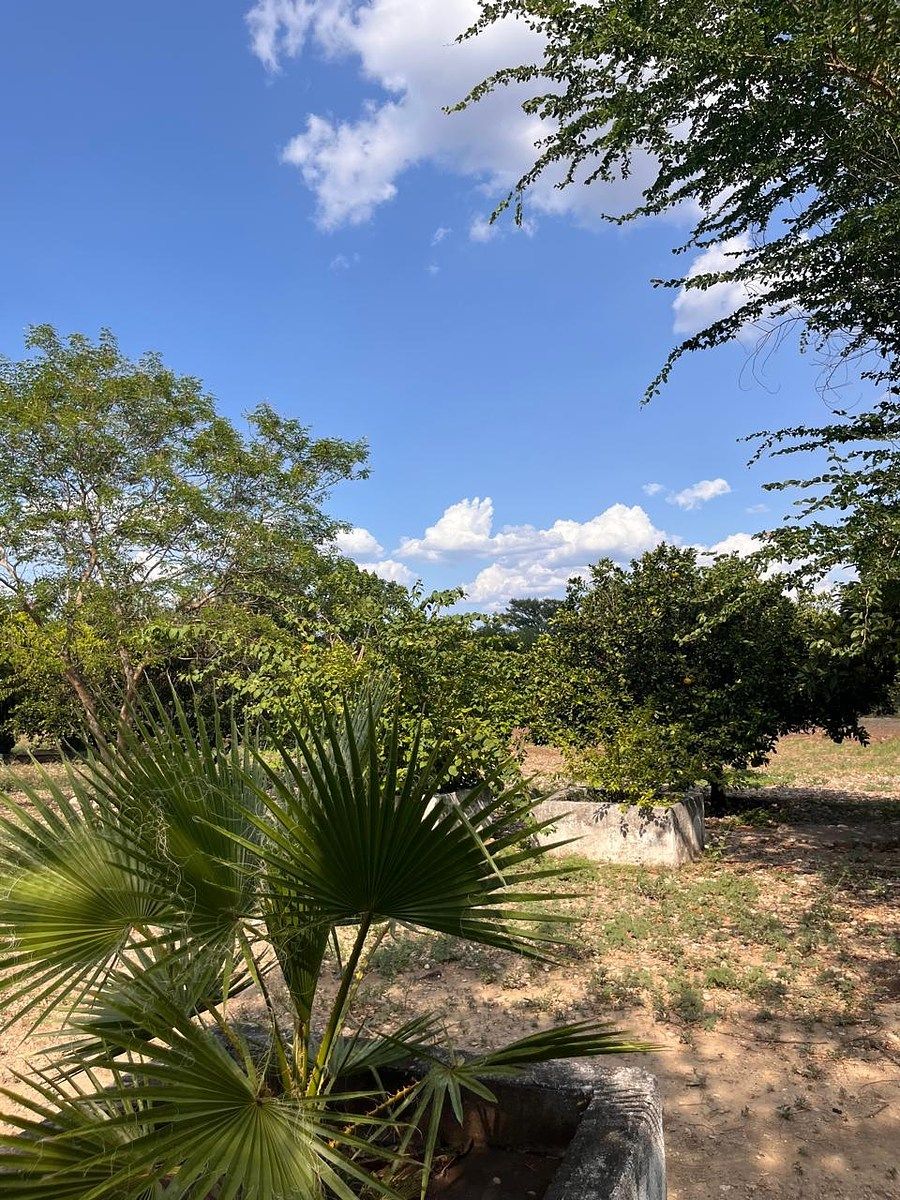 Country House in Palmitos (Hacienda Palmitos), Cadereyta Jiménez, photo 11 of 18