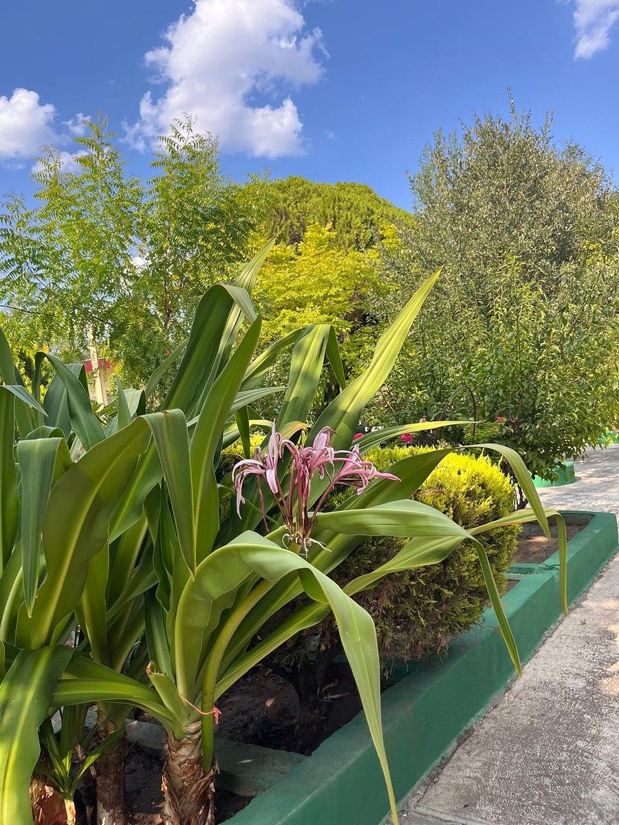 Country House in Palmitos (Hacienda Palmitos), Cadereyta Jiménez, photo 12 of 18