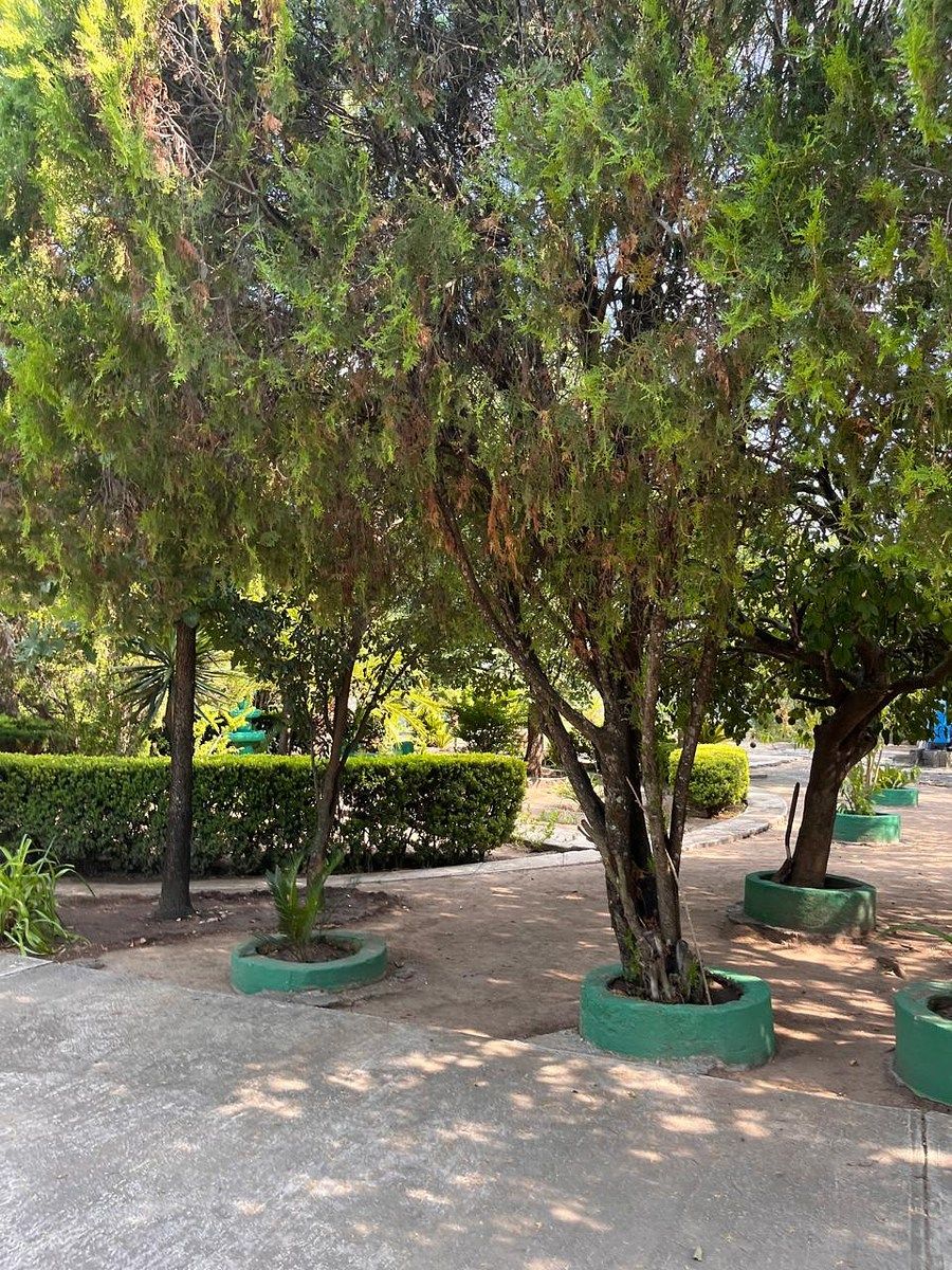 Country House in Palmitos (Hacienda Palmitos), Cadereyta Jiménez, photo 4 of 18
