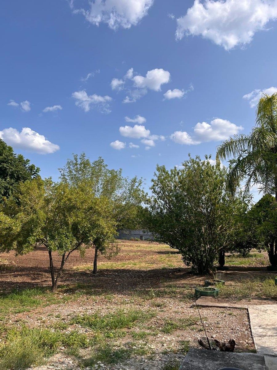 Country House in Palmitos (Hacienda Palmitos), Cadereyta Jiménez, photo 15 of 18