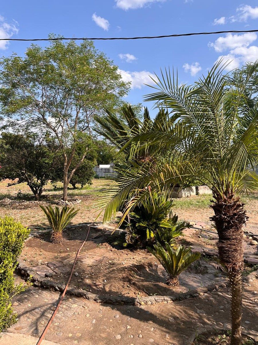 Country House in Palmitos (Hacienda Palmitos), Cadereyta Jiménez, photo 17 of 18