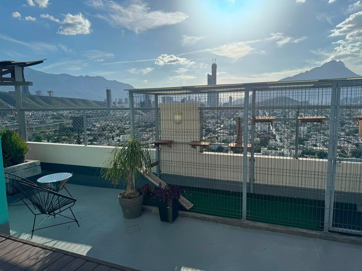 Apartment in Centro, Monterrey, photo 12 of 16