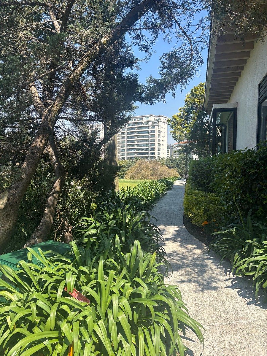 Departamento en Club de Golf Bosques, Cuajimalpa de Morelos, foto 8 de 14