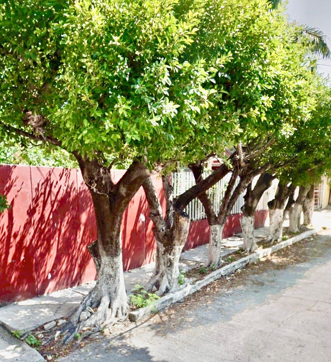 Casa en El Retiro, Tuxtla Gutiérrez, foto 6 de 16