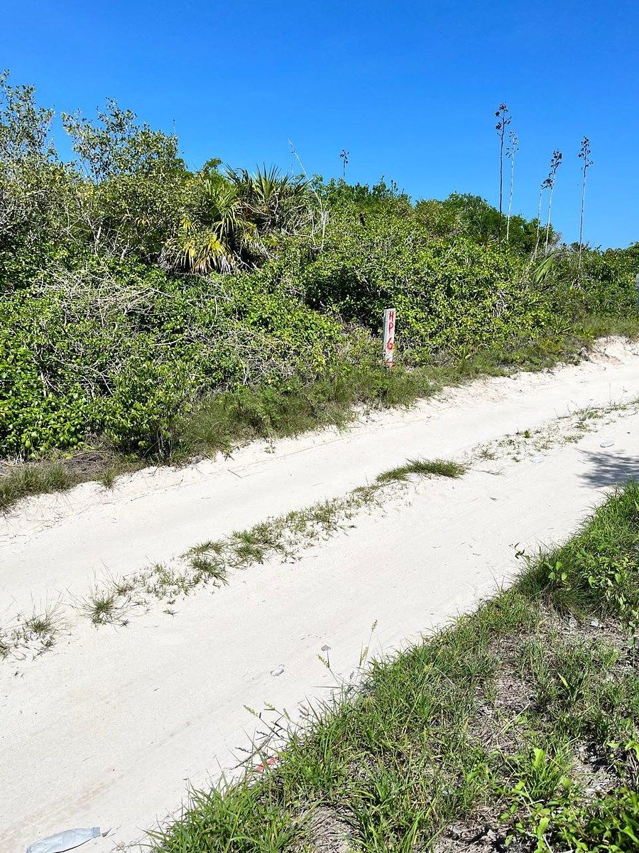 Lot in Pueblo San Bruno, Telchac Puerto, photo 3 of 5