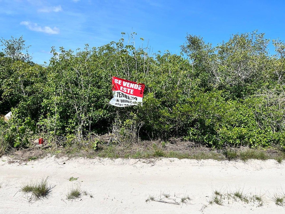 Lot in Pueblo San Bruno, Telchac Puerto, photo 2 of 5