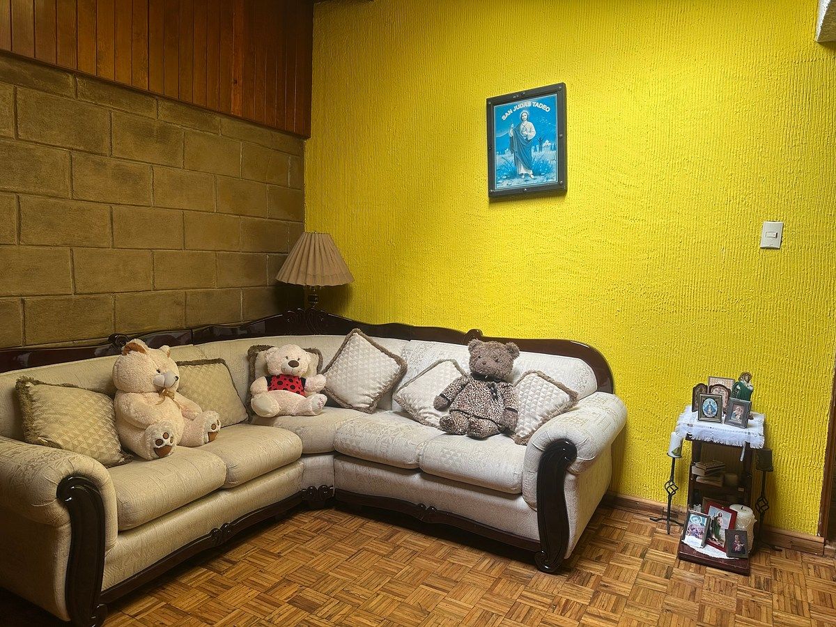 Casa en Morelos 2a Secc, Toluca, foto 14 de 15