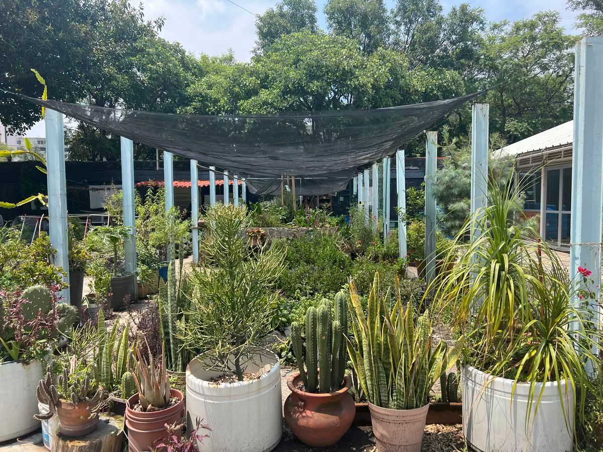 Departamento en Villa Olímpica, Tlalpan, foto 23 de 26