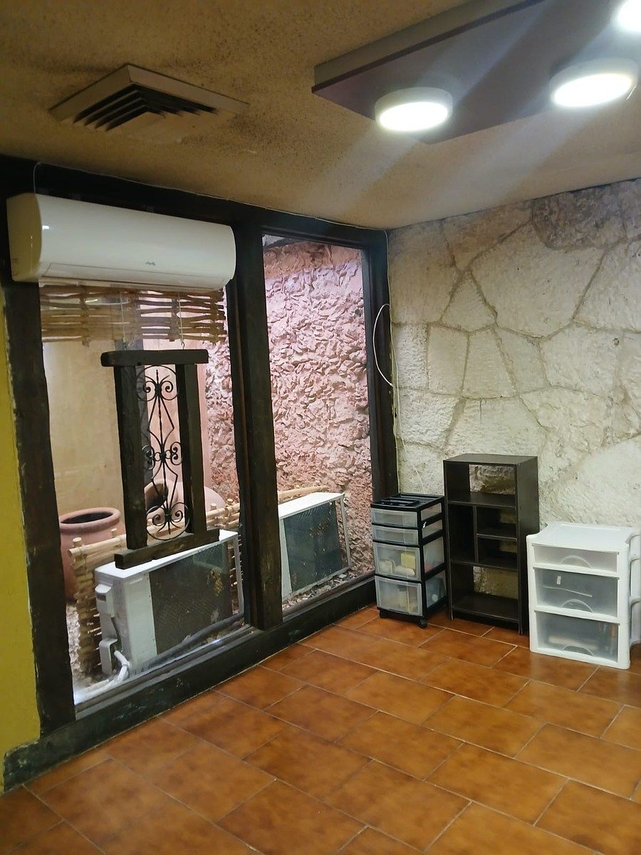 Casa com uso comercial em 60 Norte, Mérida, foto 8 de 37