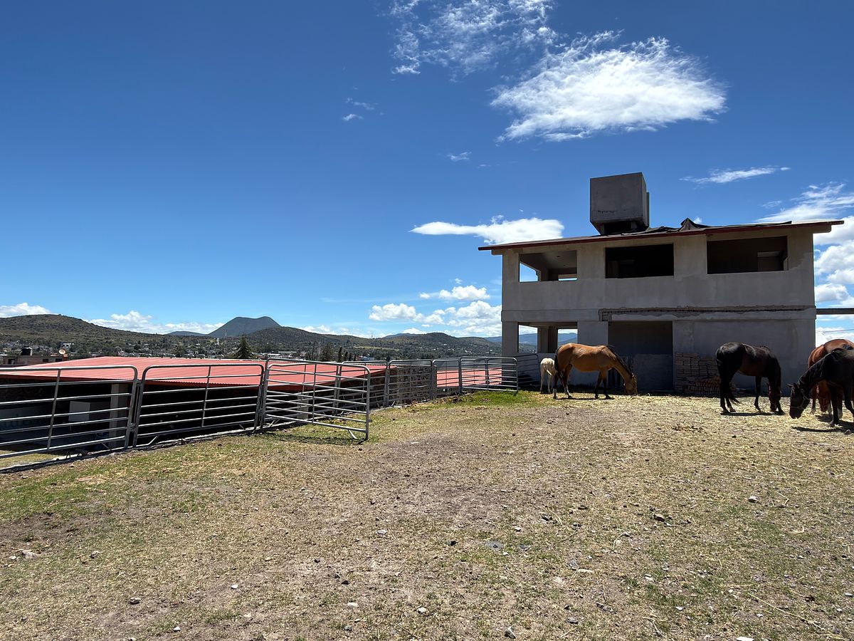Rancho en Las Palmitas, Zempoala, foto 3 de 20