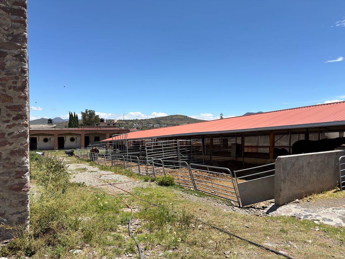 Rancho en Las Palmitas, Zempoala, foto 8 de 20