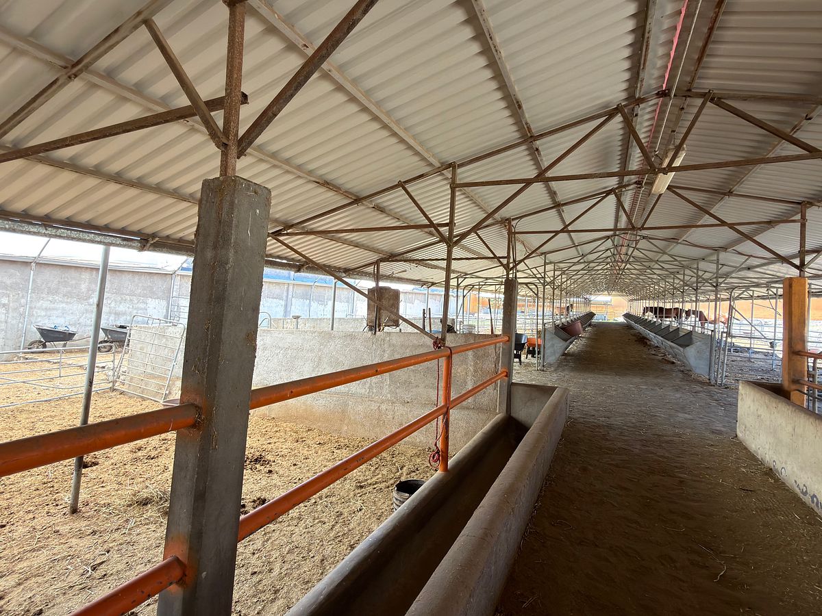 Rancho en Las Palmitas, Zempoala, foto 7 de 20