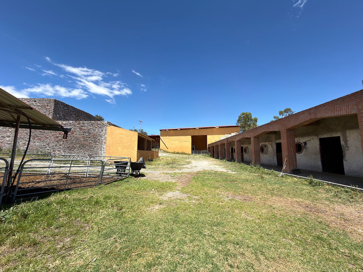 Rancho en Las Palmitas, Zempoala, foto 11 de 20