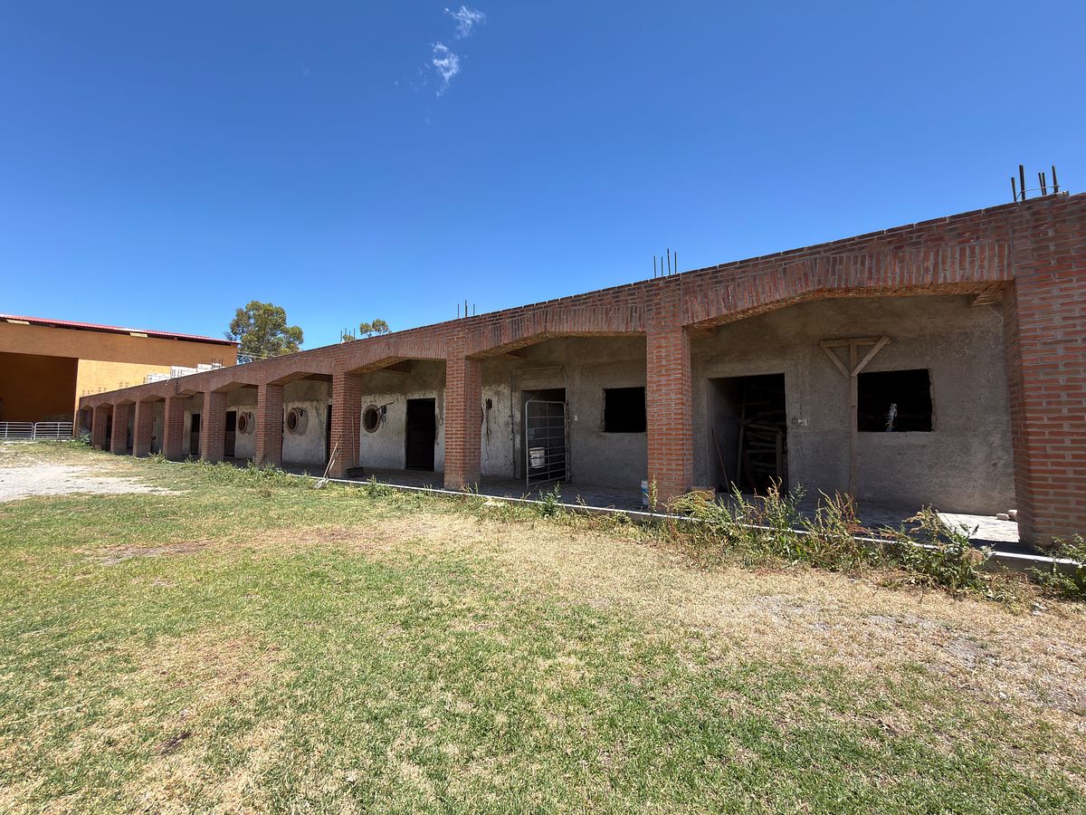 VENTA DE RANCHO EN HIDALGO, foto 1 de 20
