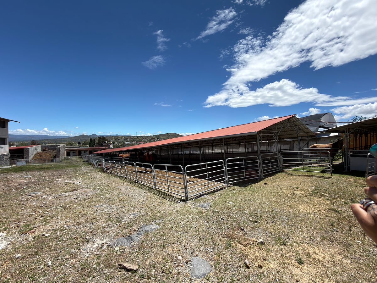 Rancho en Las Palmitas, Zempoala, foto 12 de 20