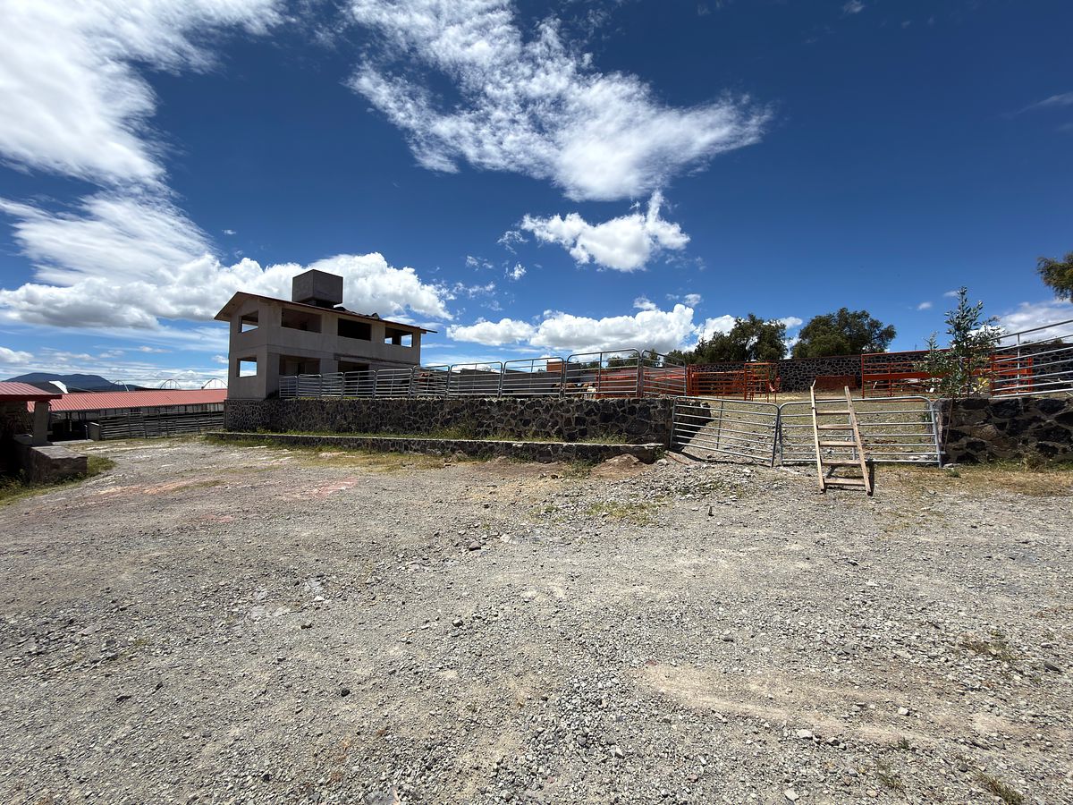 Rancho en Las Palmitas, Zempoala, foto 15 de 20