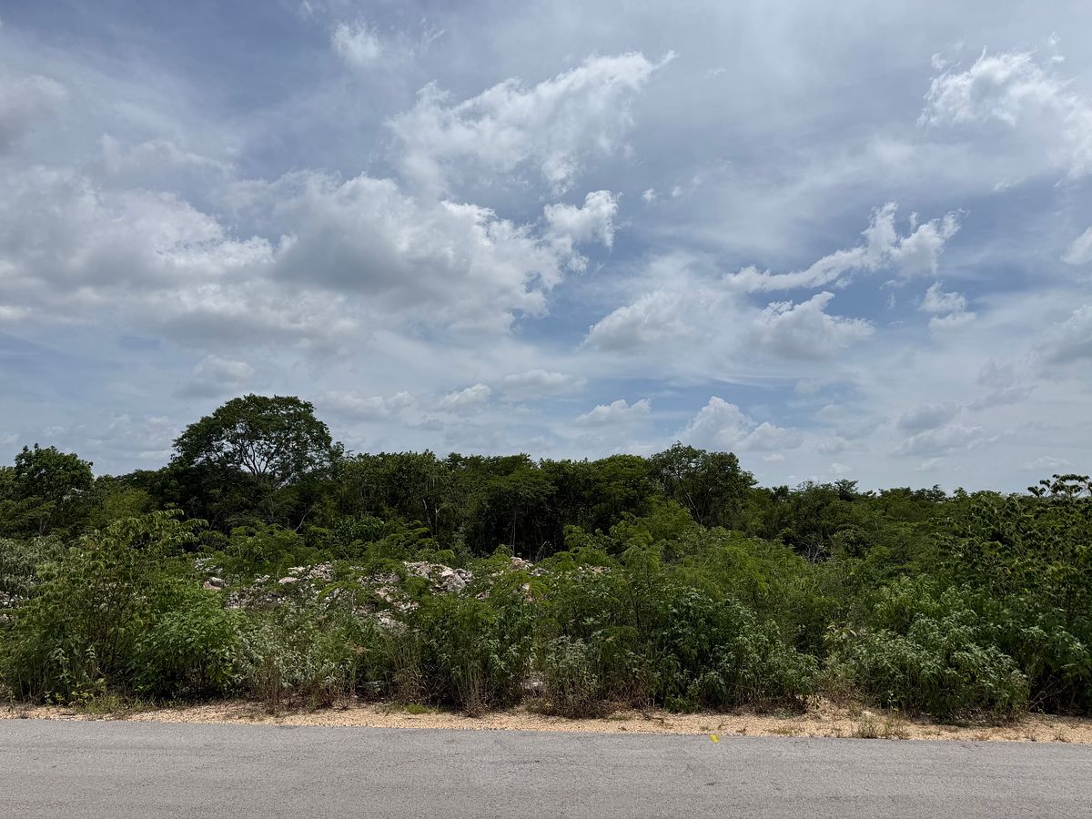 TERRENOS EN VENTA A PRECIO DE REMATE EN TEMOZÓN NORTE, foto 1 de 4
