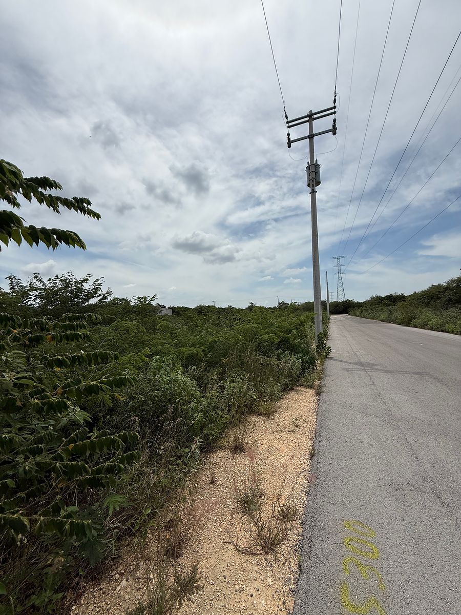 Terreno en Temozón Norte, Mérida, foto 4 de 4