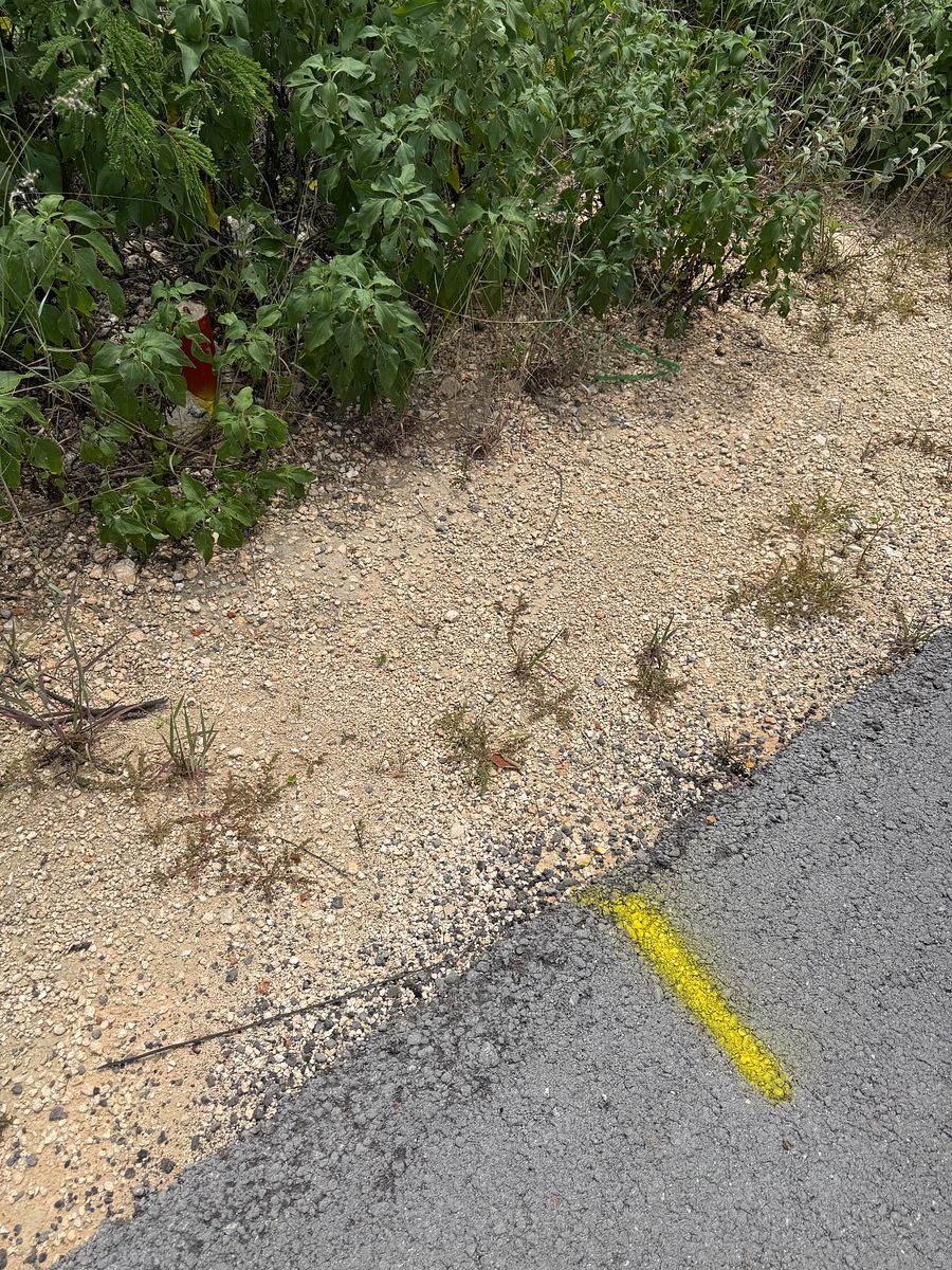 Terreno en Temozón Norte, Mérida, foto 3 de 4