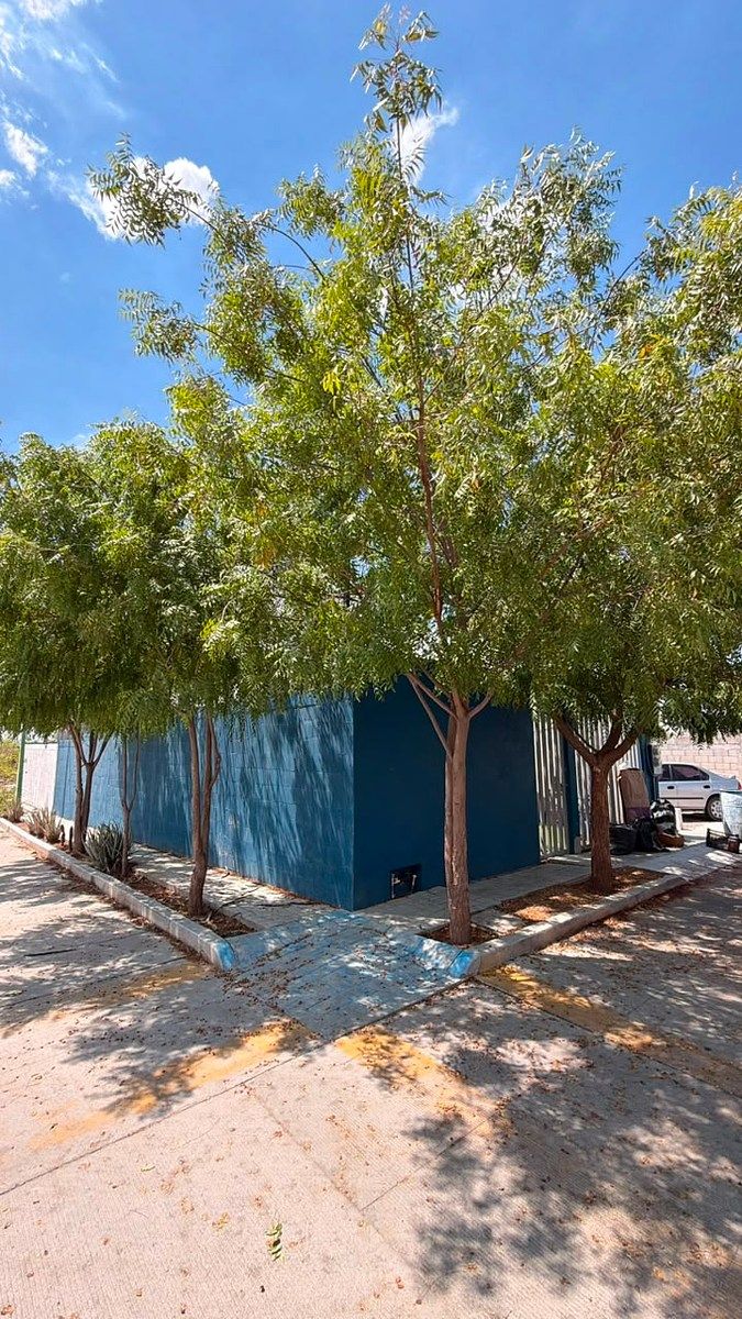 Casa em El Cardoncito, La Paz, foto 2 de 12