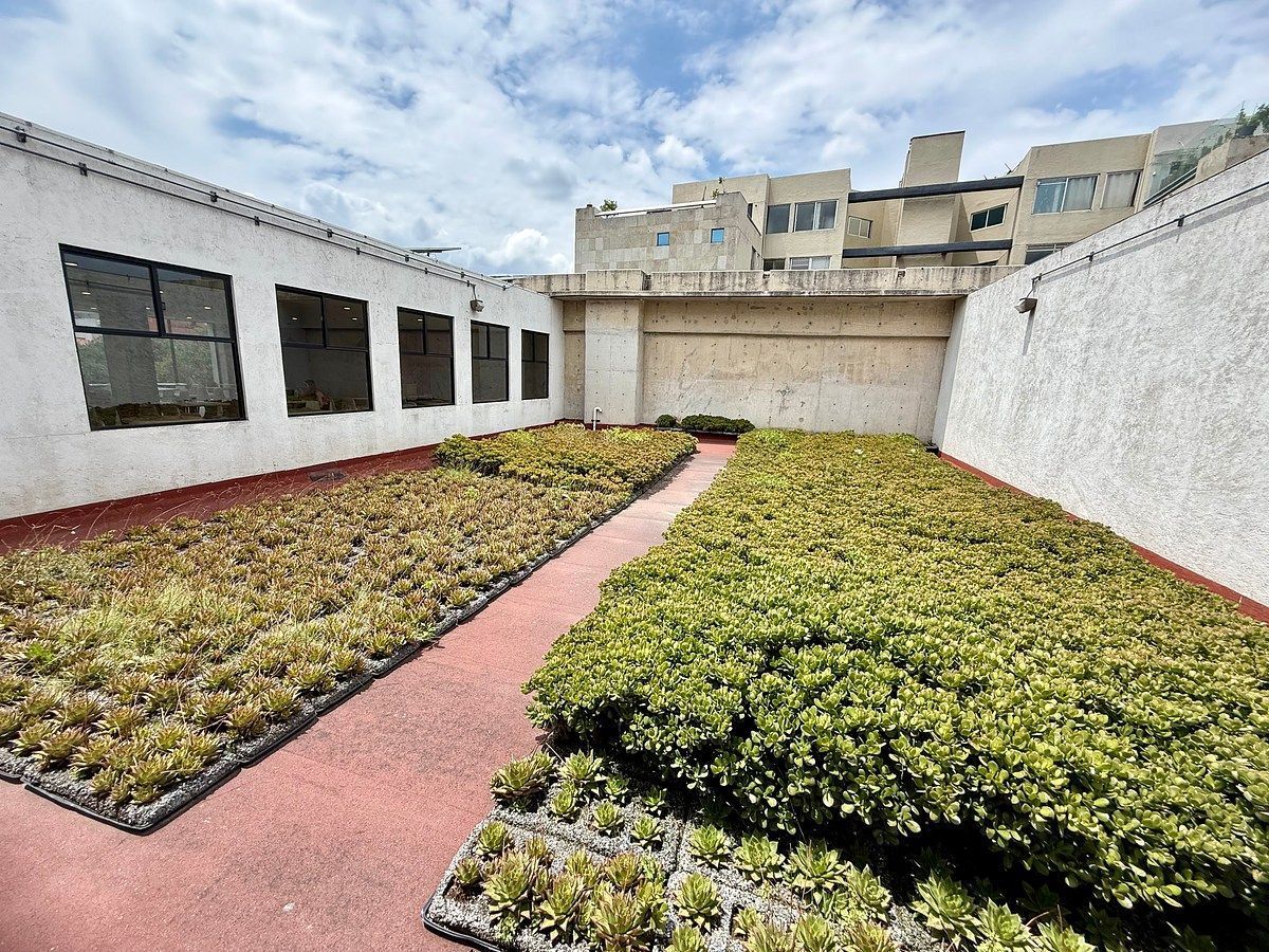Office in Cuajimalpa, Cuajimalpa de Morelos, photo 33 of 35