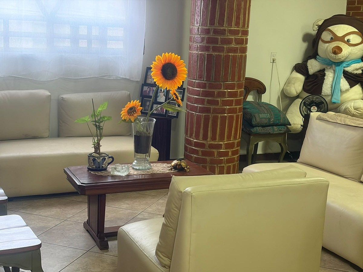 House in La Laguna Ticomán, Gustavo A. Madero, photo 19 of 19