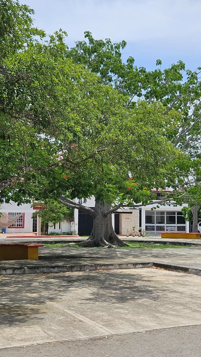 Apartamento em Las Américas, Mérida, foto 16 de 18