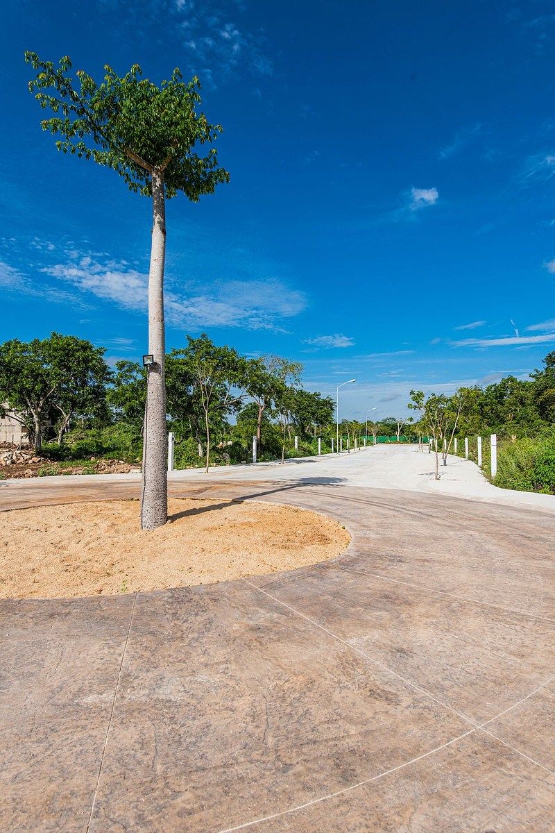 Lot in Zendera, Conkal, photo 15 of 20