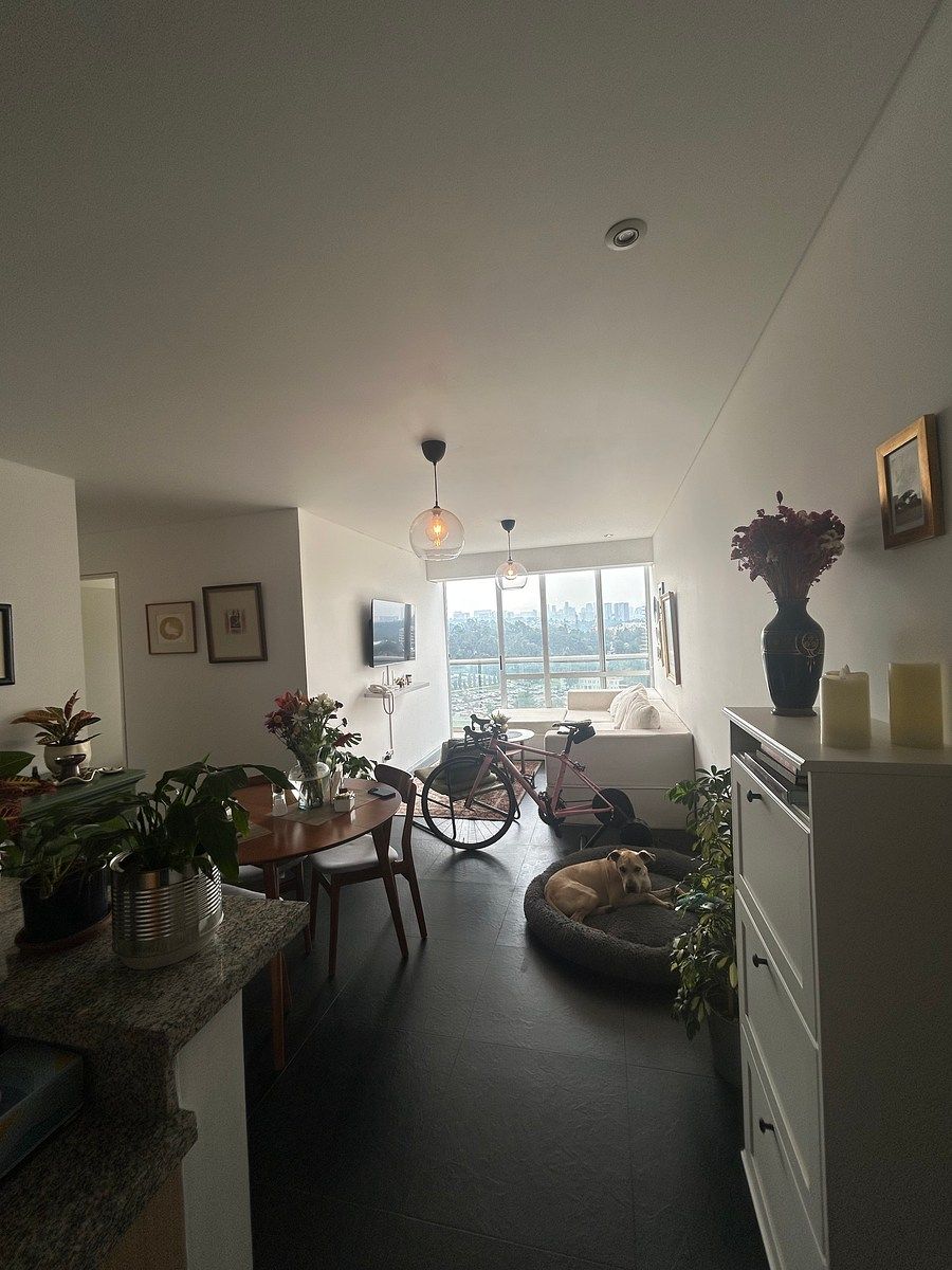 Apartment in San José del Olivar, Álvaro Obregón, photo 3 of 24
