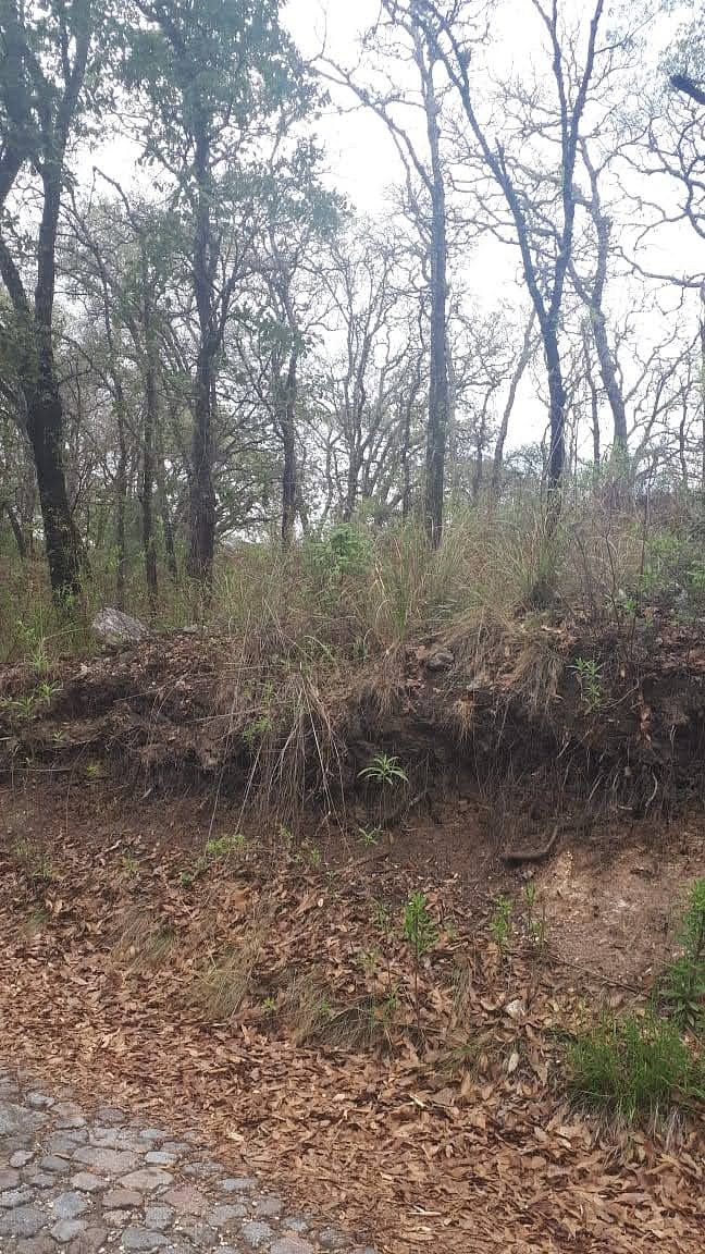 Lot in Campestre Haras, Amozoc, photo 2 of 2
