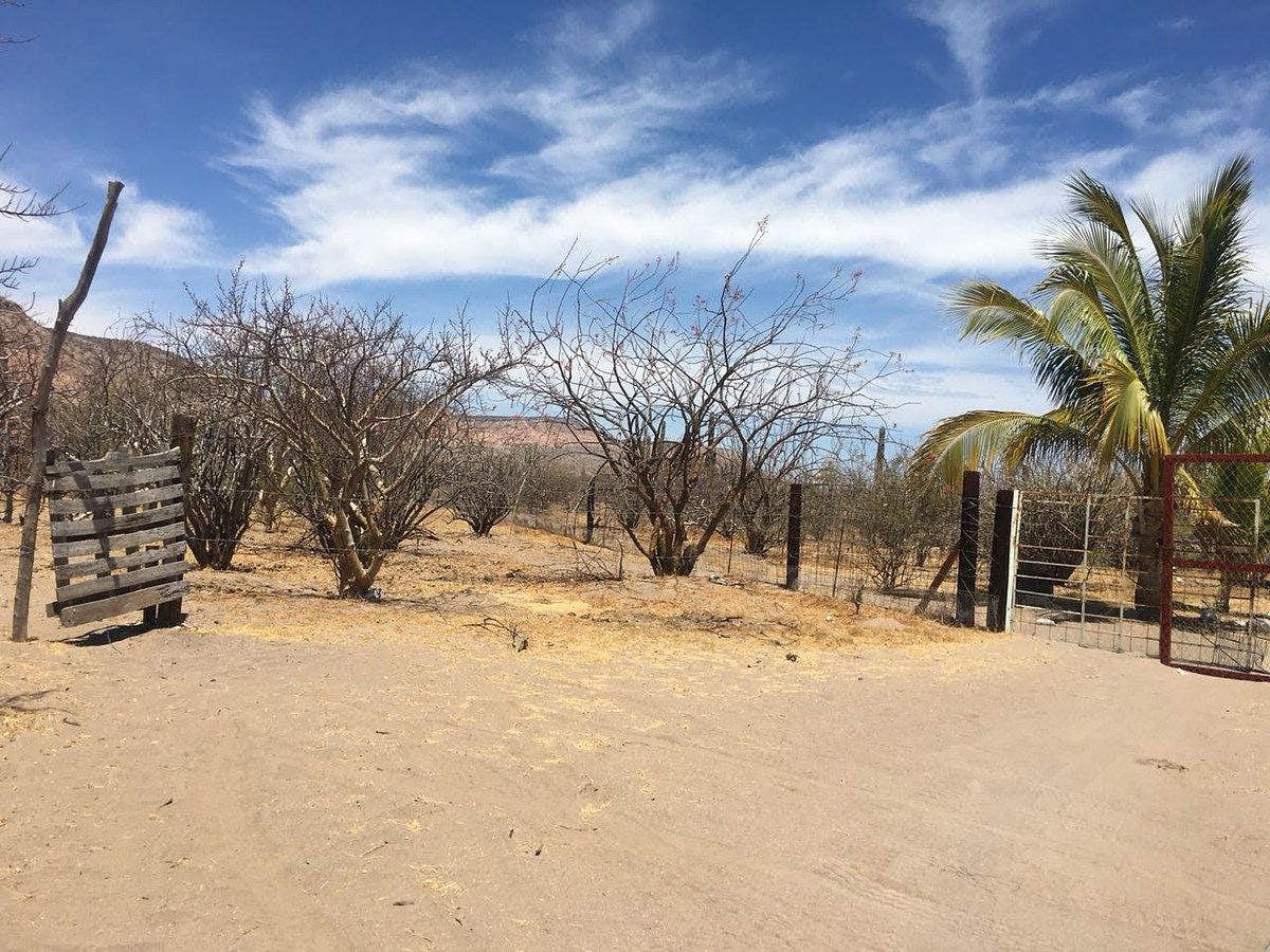 Terreno en San Juan de la Costa, La Paz, foto 2 de 9