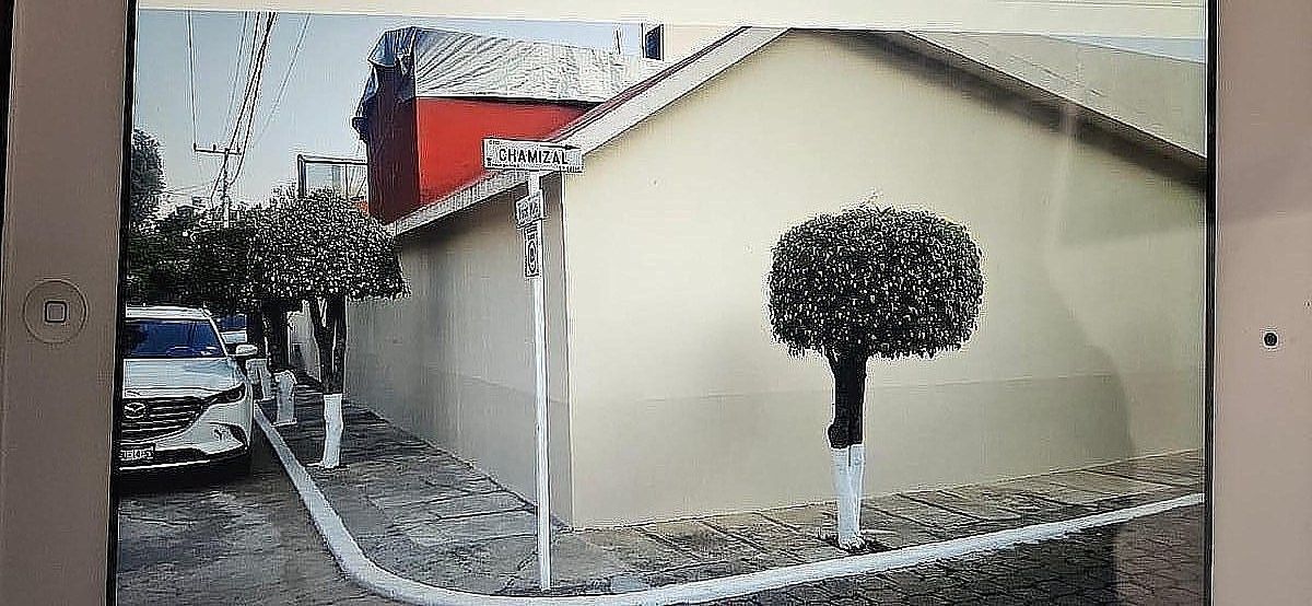 Casa em Insurgentes, Cuernavaca, foto 17 de 22
