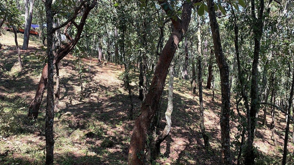 TERRENO À VENDA FRACIONAMENTO LA TOSCANA, foto 1 de 3