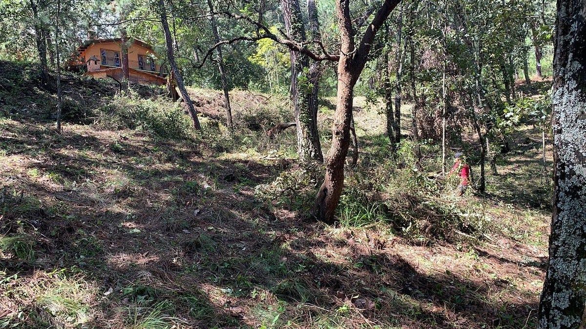 Lote em Mazamitla, Mazamitla, foto 2 de 3