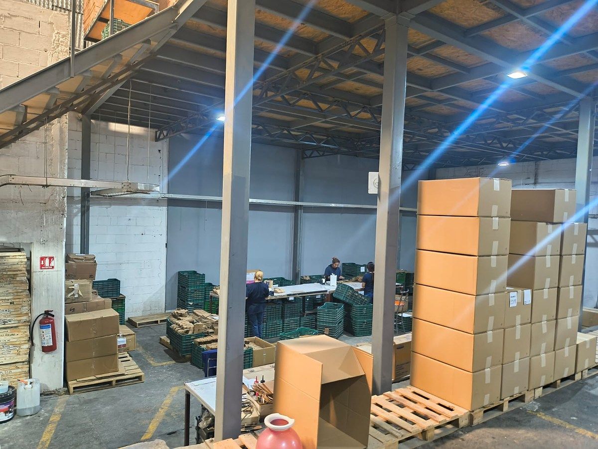 Bodega comercial en San Bartolo Naucalpan (Naucalpan Centro), Naucalpan de Juárez, foto 9 de 12