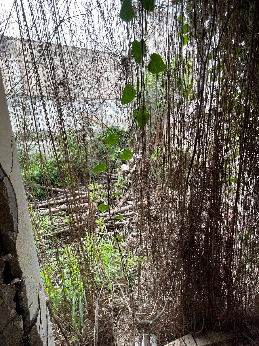 Casa em Guadalupe, Campeche, foto 17 de 30