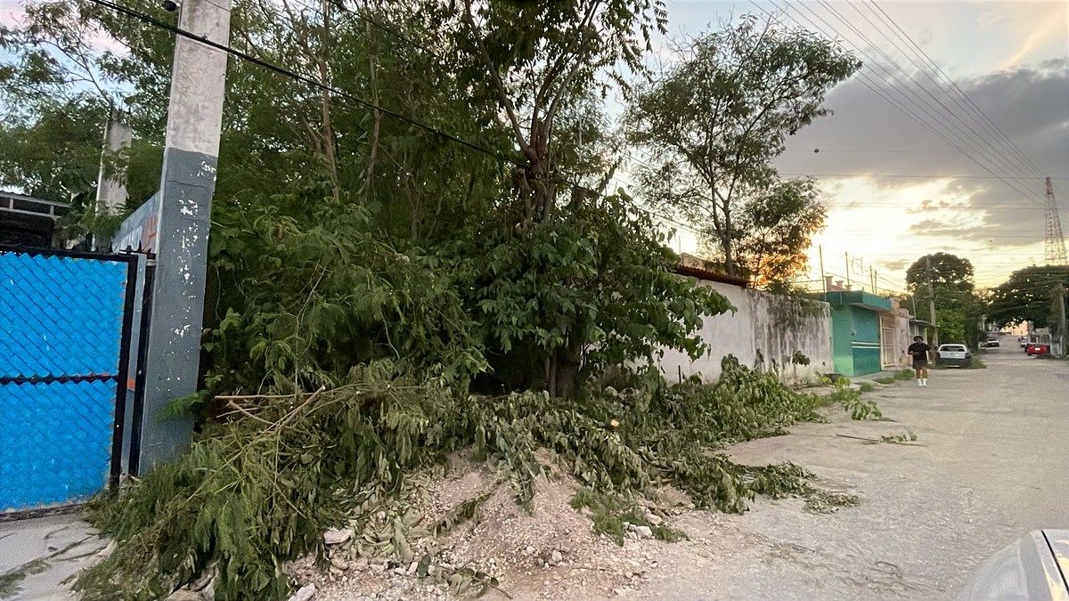 TERRENO À VENDA EM CAMPECHE COL IGNACIO ZARAGOZA, foto 1 de 5