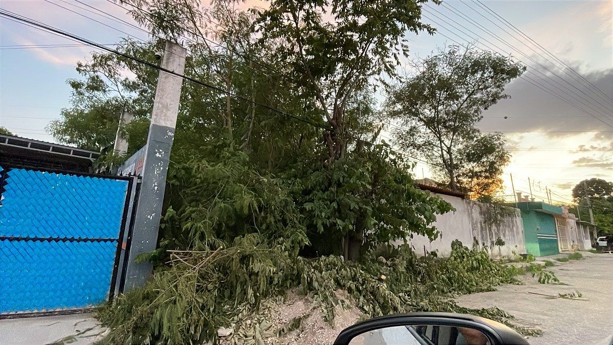 Lote em Ignacio Zaragoza, Campeche, foto 2 de 5