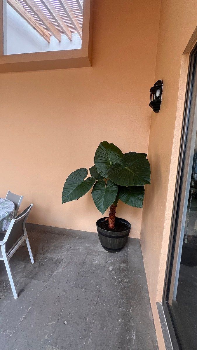 Casa em condomínio fechado em Santa Fe La Loma, Álvaro Obregón, foto 14 de 31