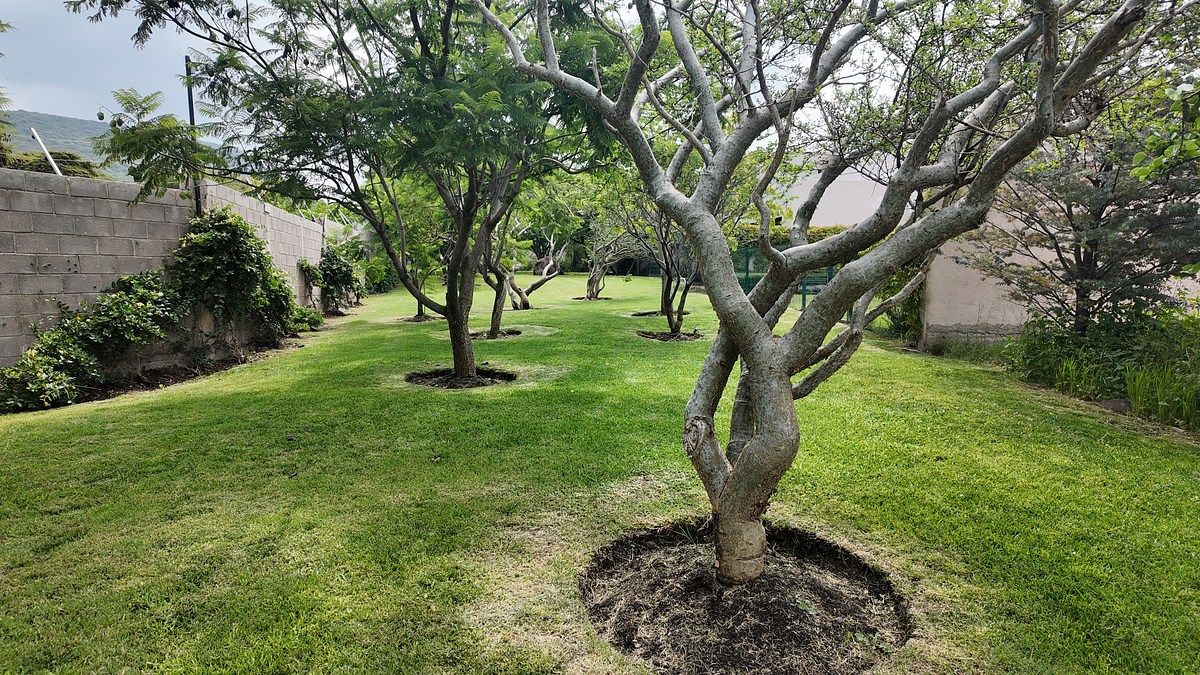 Lote em Altozano el Nuevo Querétaro, Querétaro, foto 4 de 6