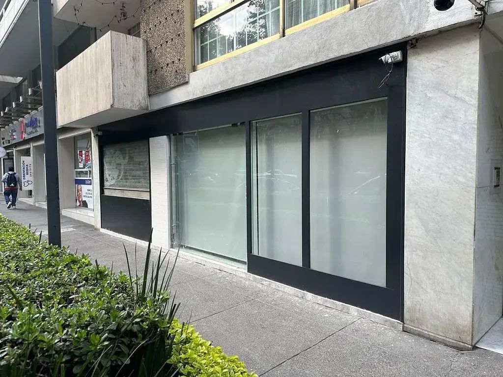 Local comercial en Homero, foto 1 de 6