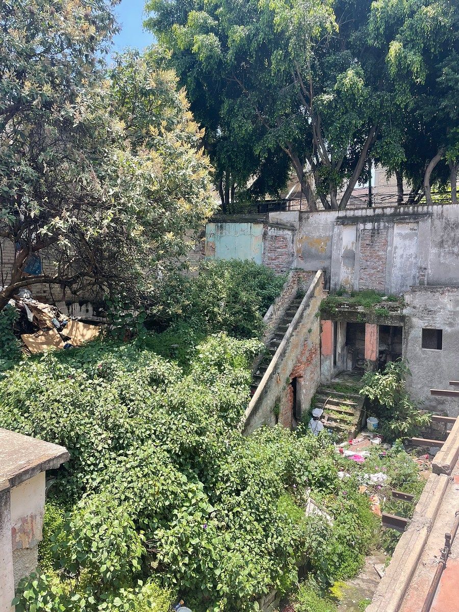 Terreno comercial en Pensil Norte, Miguel Hidalgo, foto 10 de 10